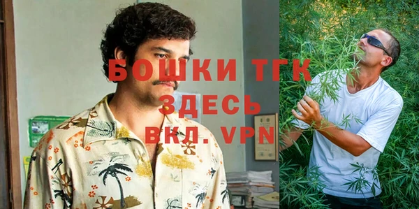 твердый Богородск