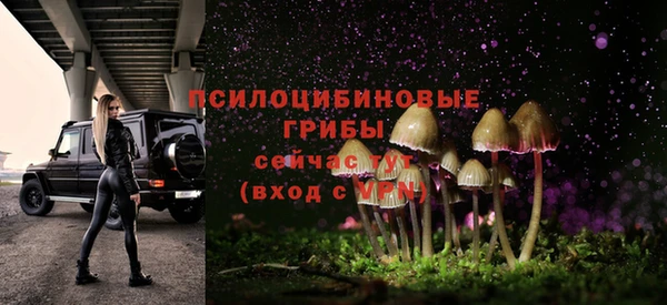 эйфоретик Богородицк