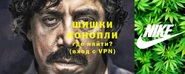 твердый Богородск
