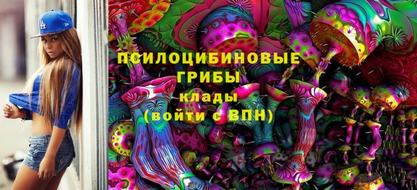 твердый Богородск