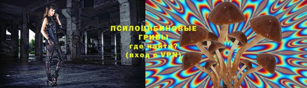 эйфоретик Богородицк