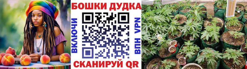 Марихуана VHQ  наркотики  Нарьян-Мар 